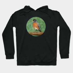 Robin Hoodie